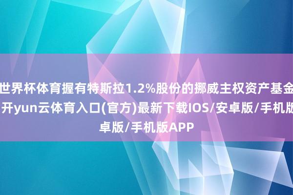 世界杯体育握有特斯拉1.2%股份的挪威主权资产基金表态-开yun云体育入口(官方)最新下载IOS/安卓版/手机版APP