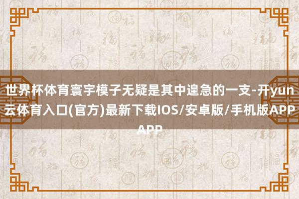 世界杯体育寰宇模子无疑是其中遑急的一支-开yun云体育入口(官方)最新下载IOS/安卓版/手机版APP