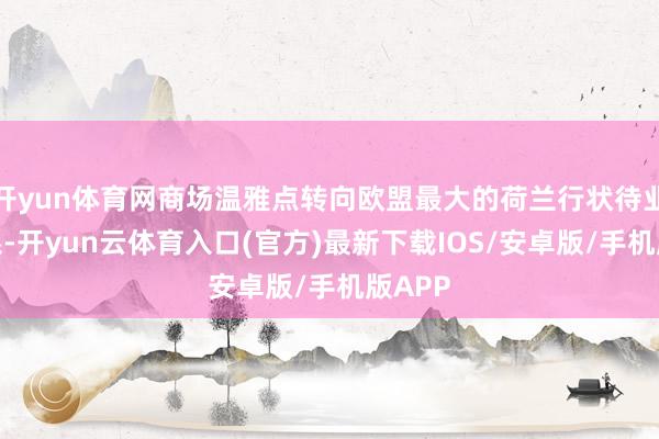 开yun体育网商场温雅点转向欧盟最大的荷兰行状待业金体系-开yun云体育入口(官方)最新下载IOS/安卓版/手机版APP